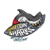Shreddin' Sharks