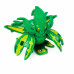 Bakugan Battle Planet Ventus Krakelios Ultra B600, 2 Bakucore, 2 карти