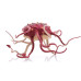 Ігровий набір Hasbro Rathtar, Bala-Tik Star Wars Force Link 2.0 (E1262/E0325)