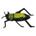 Ігровий набір Crazy Insect Battling bugs з 3-х інтерактивних наножуків і великої збірної бойової арени